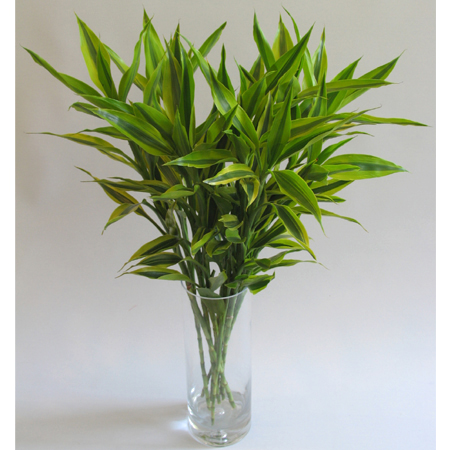 供奉祖先灵位有什么禁忌？