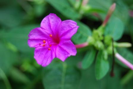 各风水先生的故事汇集